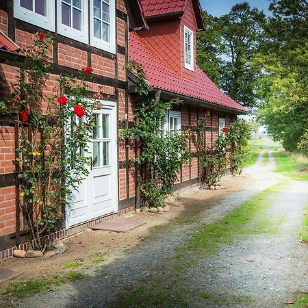 Landhaus Elbeflair Bei Doemitz Hotell Lenzerwische Exteriör bild