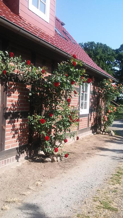 Landhaus Elbeflair Bei Doemitz Hotell Lenzerwische Exteriör bild